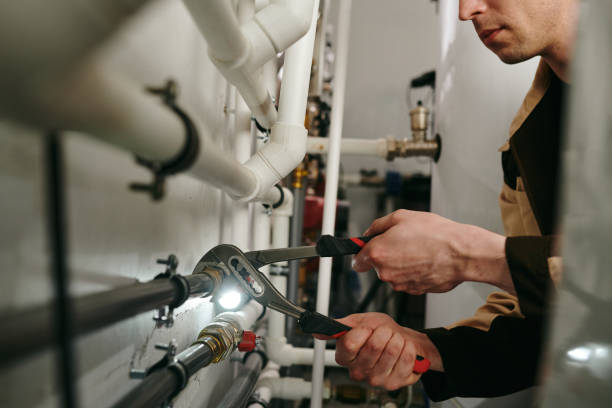 Best Plumbing Services Near Me  in Lake Sherwood, CA