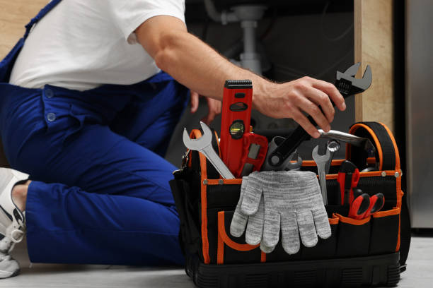 Best Affordable Plumbing Services  in Lake Sherwood, CA