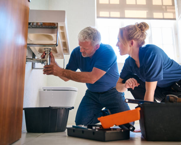 Best Local Plumber Services  in Lake Sherwood, CA